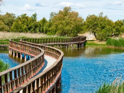 tablas-de-daimiel